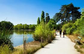 Lasek Vincennes