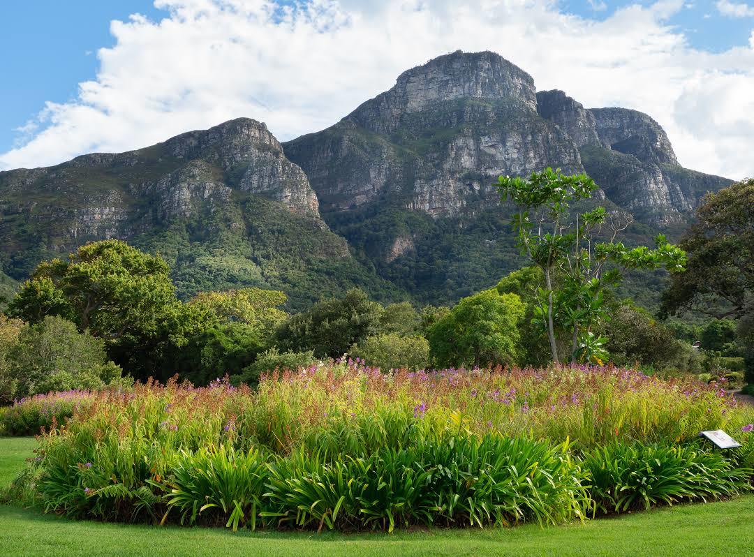 Ogród botaniczny Kirstenbosch