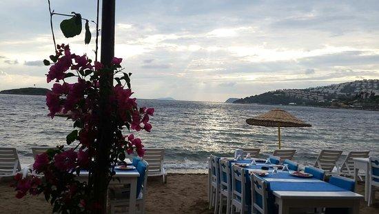 Pitos Cafe Bar