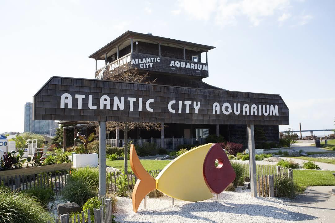 Akwarium w Atlantic City