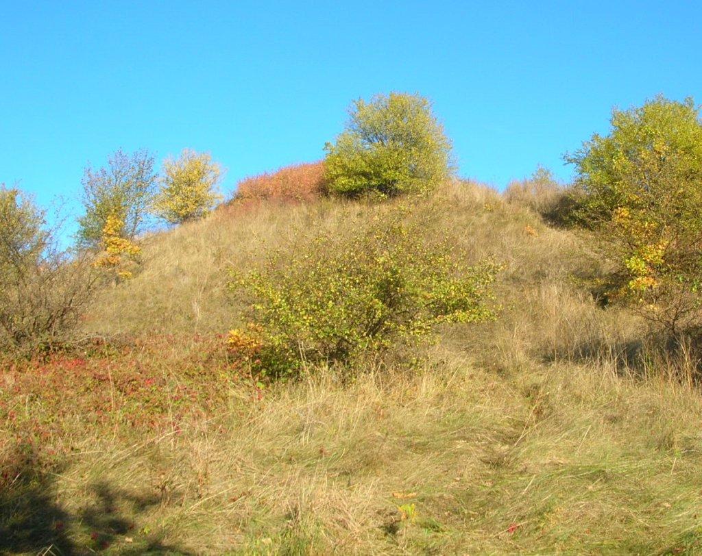 Zamczysko