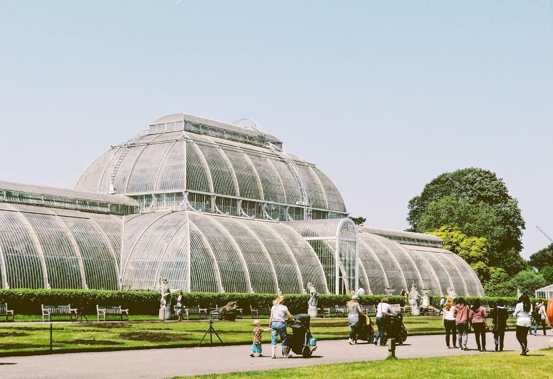 Królewskie Ogrody Botaniczne Kew