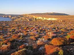 Park przyrody i historii Il-Majjistral