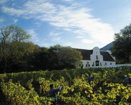 Groot Constantia-Trust