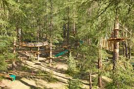 Park Larix