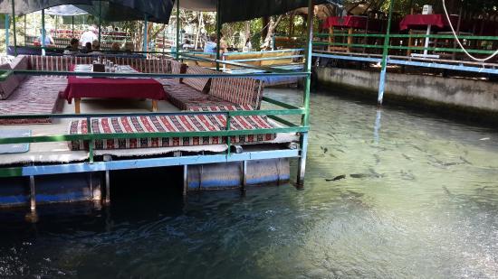 Havuzbasi Restaurant