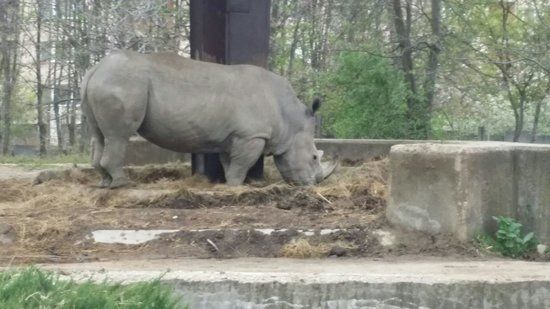 Zoo w Sofii