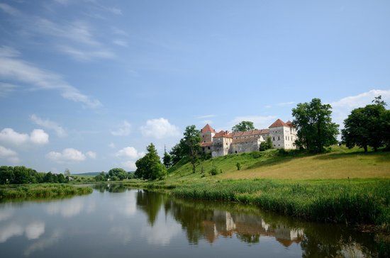 Zamek w Świrzu