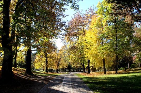Parco della Pieve