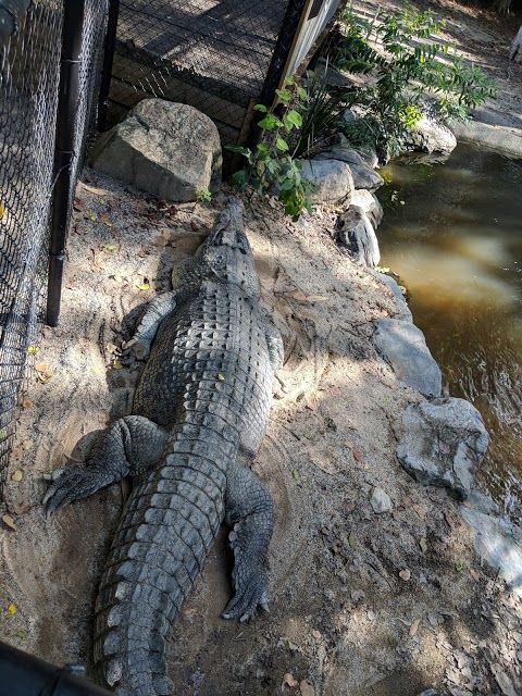 Wildlife Habitat