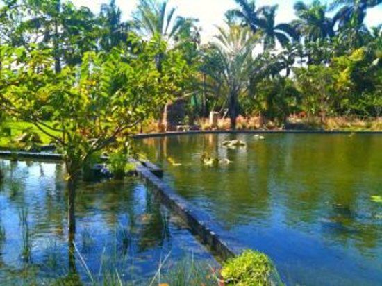 Ogród botaniczny w Miami Beach