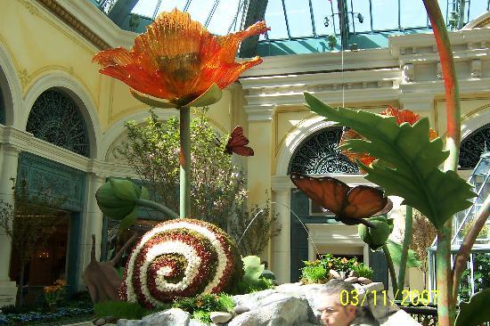Ogrody botaniczne Bellagio