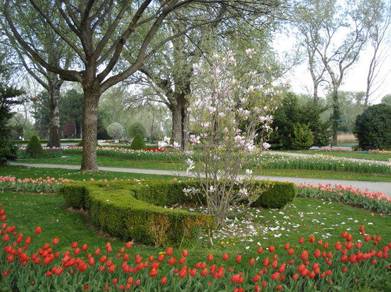 Park Dunajski