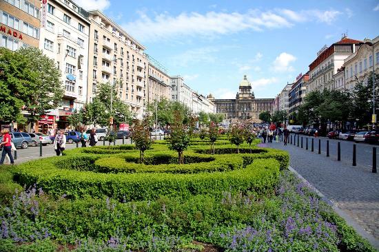 Plac Wacława