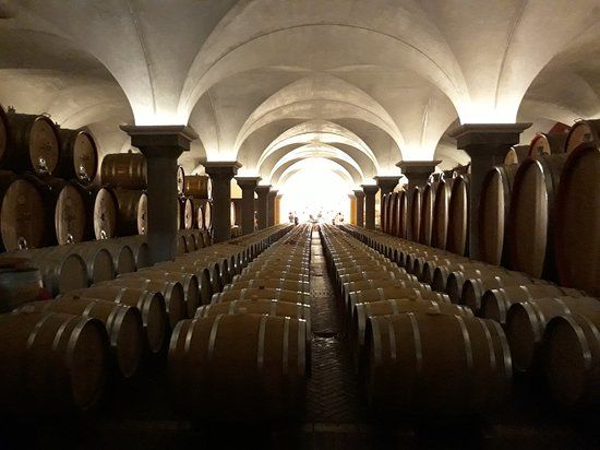 Muzeum wina Cantina F.lli Zeni