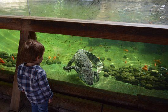 Zoo Terra Natura