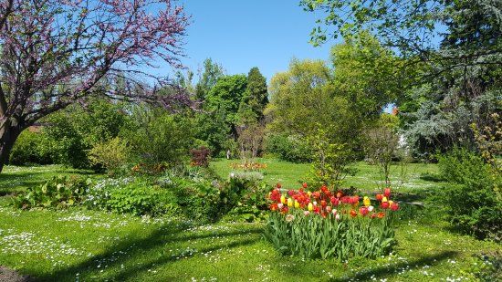 Ogród Botaniczny w Bukareszcie
