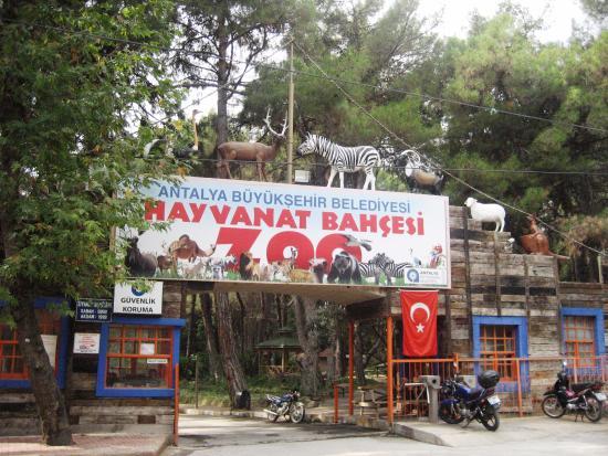 Zoo w Antalyi