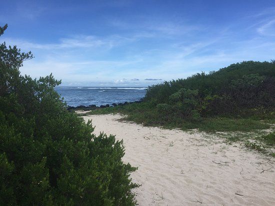 Plaża Palmar