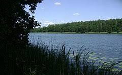 Warchały