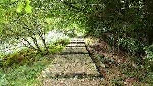 Granite Trail