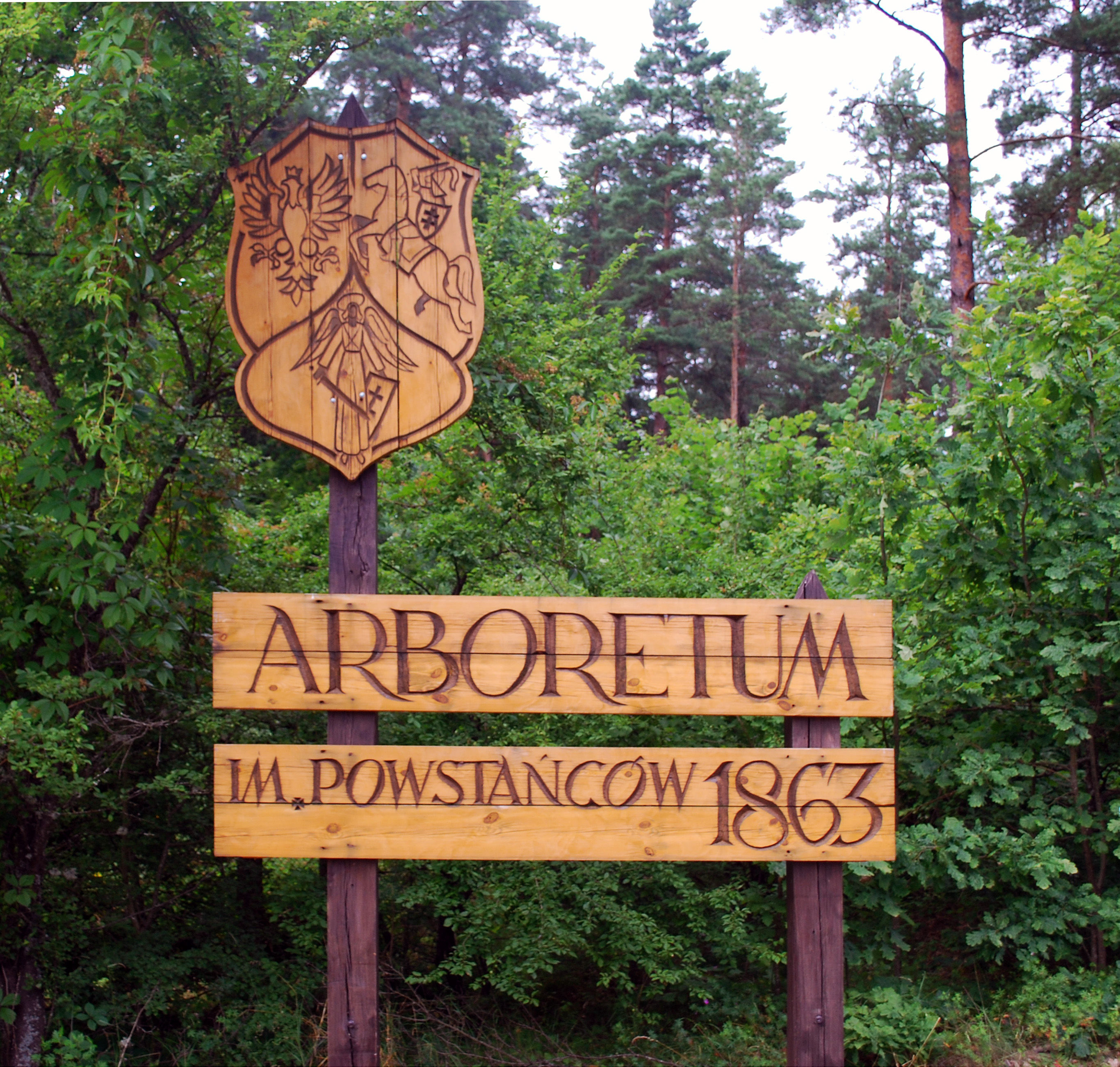 Arboretum w Kopnej Górze