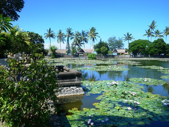 Lotus Lagoon